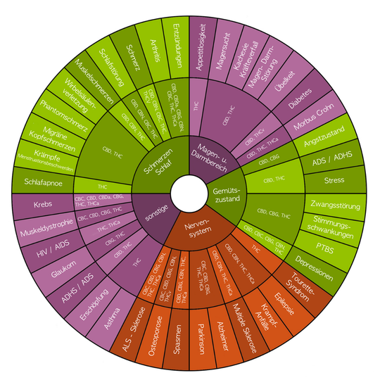 Cannabinoide - was hilft für was - eine Übersicht